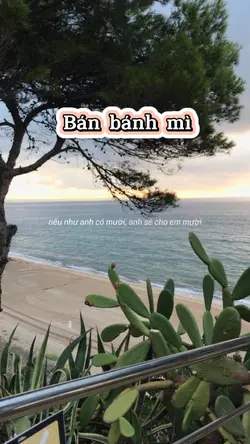 Bán bánh mì 