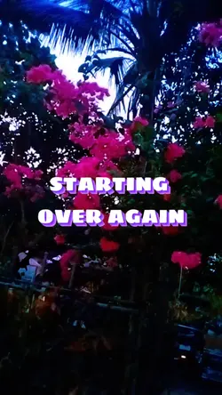 starting over again