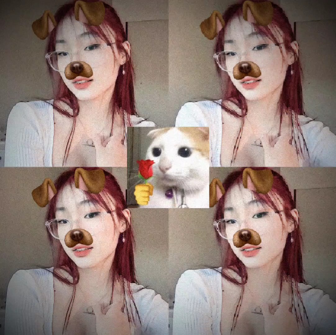 Cachorro de cabelo vermelho v3
