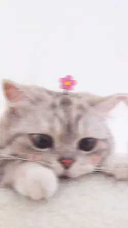 แค่1นาที