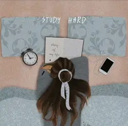 studyhard.tips