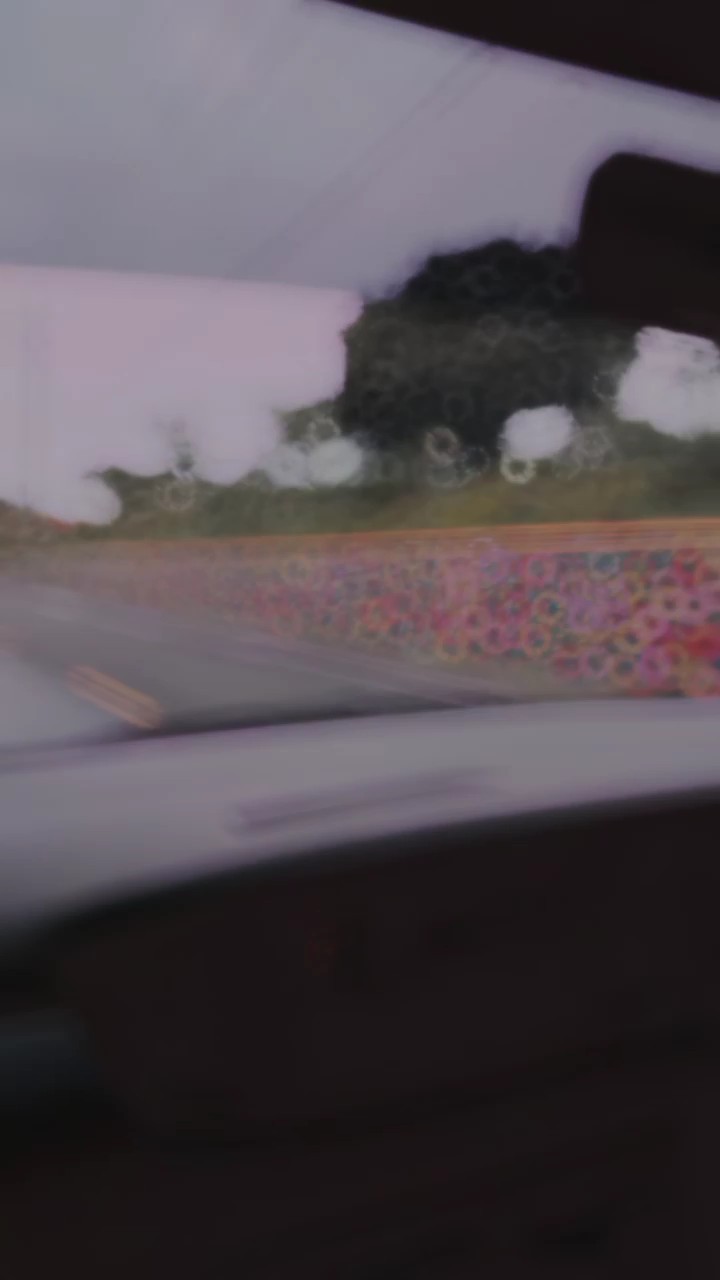 Vlog Traveling 