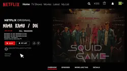 TREN NETFLIX(TEXT)