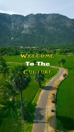 culture