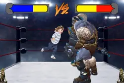 VS fight