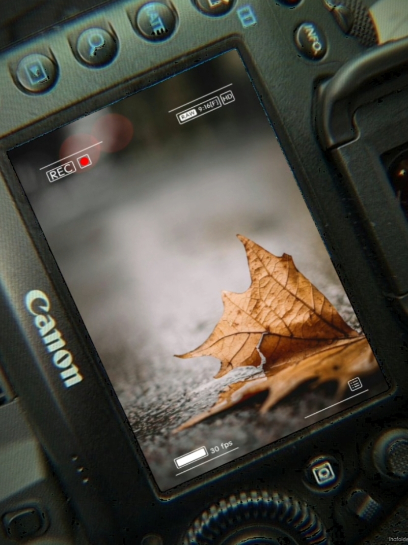 kamera Transisi 