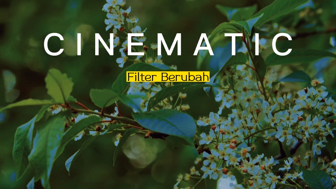 sinema filtresi 