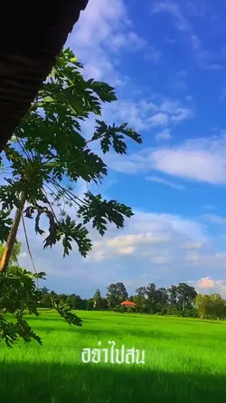 1 รูป #ขึ้นฟีด 