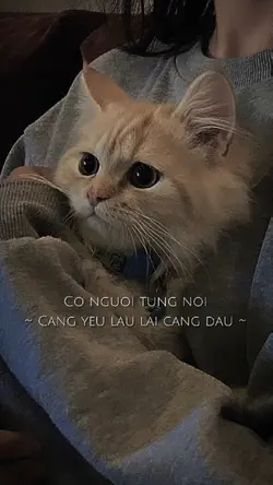 BEAT XỊN 2 ẢNH