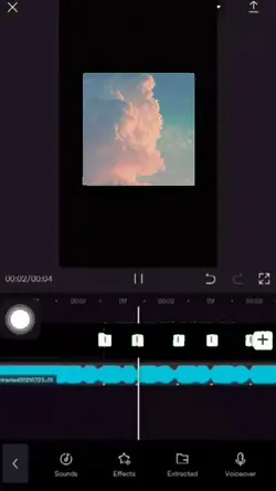 Mẫu phong xanh xịn