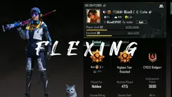 GAMEPLAY PROFILE
