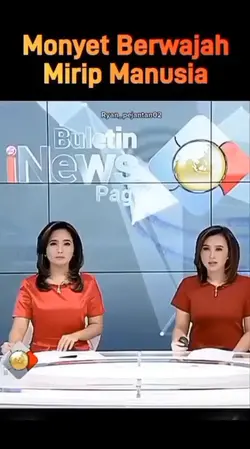PRANK BERITA MONYET