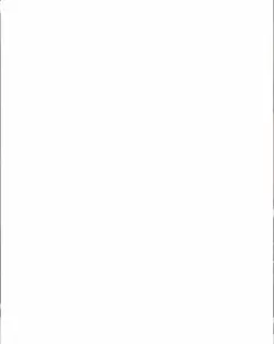 flash warning overla