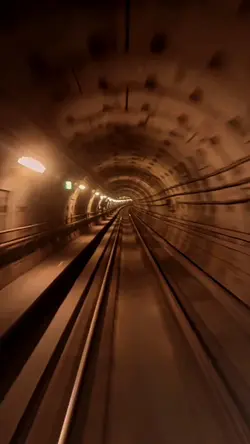 train