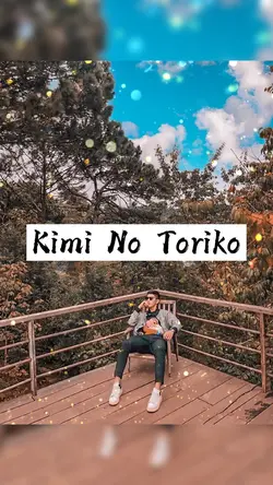 Kimi No Toriko