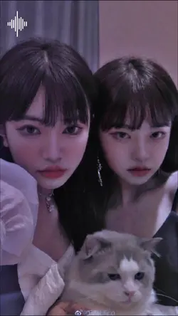 Beat giật 2 ảnh