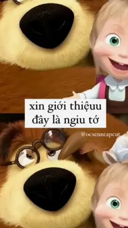 mẫu 1 ảnh