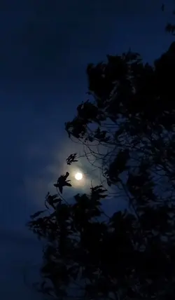 Mental koyak