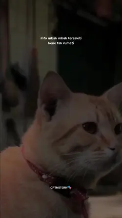 Info mbak tersakiti