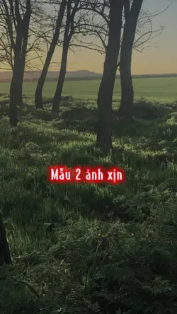 Thêm 2 ảnh 