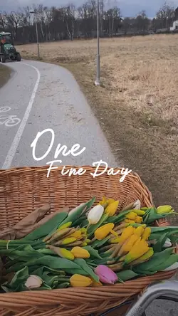#onefineday