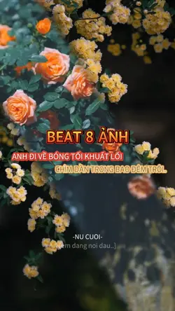 BEAT 8 ẢNH