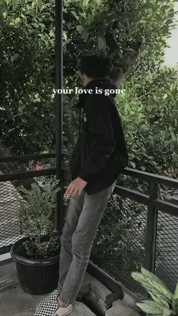 Love is gone