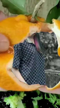 mẫu quả quýt 