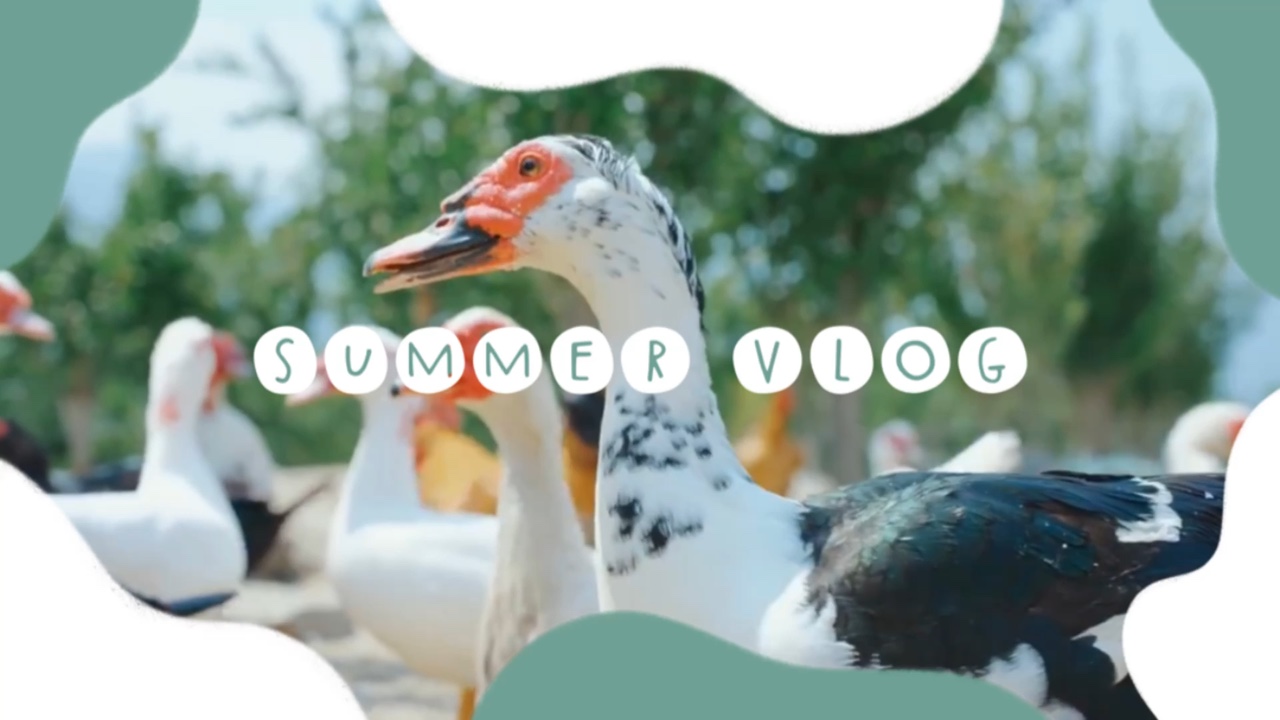 Vlog d'été