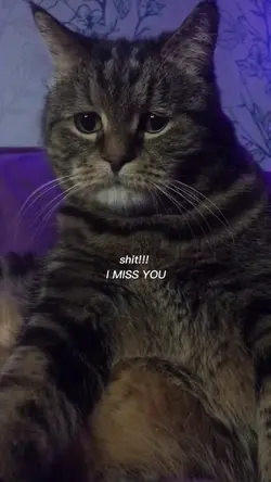 mentahana vidio