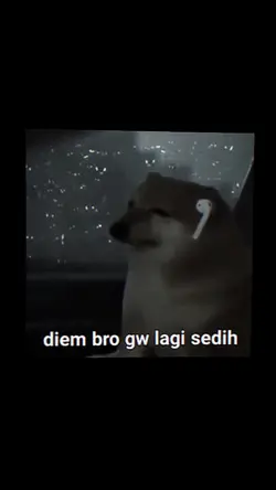 DiemBroGwLgSedihMLBB