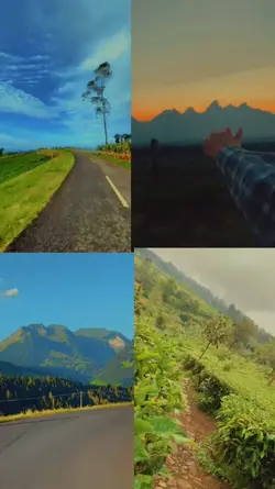 4 video