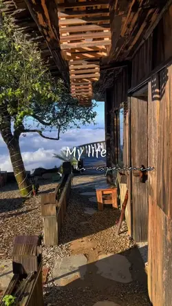 Tà xùa 😊