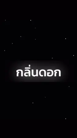 6รูป