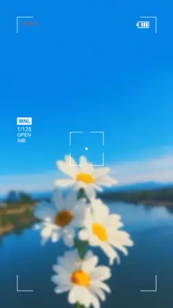 Aesthetic