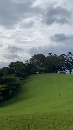 vibes