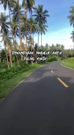 Penampakan Makhluk