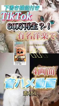 4画面編集　有名洋楽で音ハメ動画