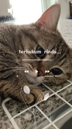 lirik lagu