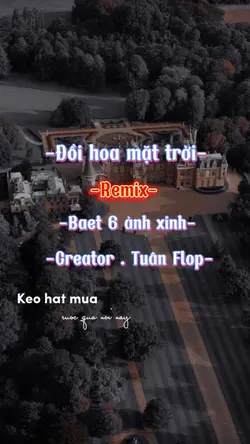 Đồi hoa mặt trời