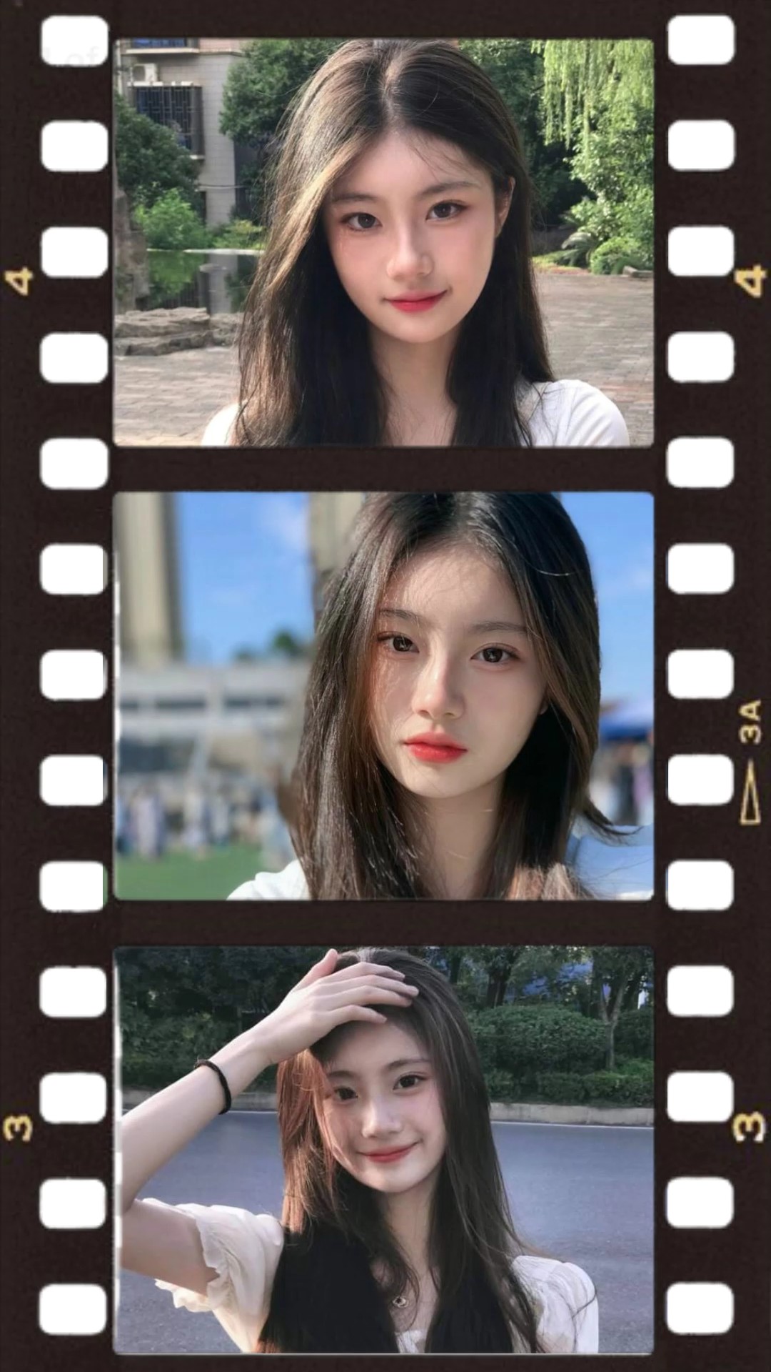 Roll Film Bergerak 