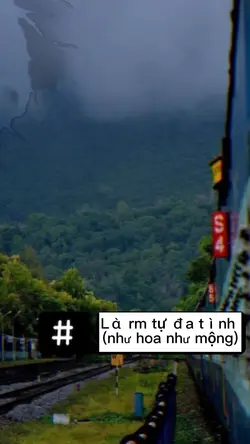 là em tự đa tình