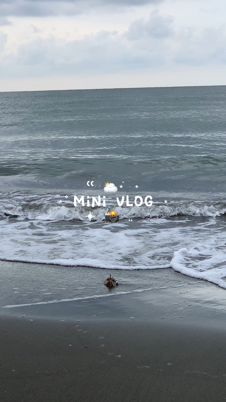 Mini vlog