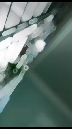 Đi tiếp nước bh chx🤥