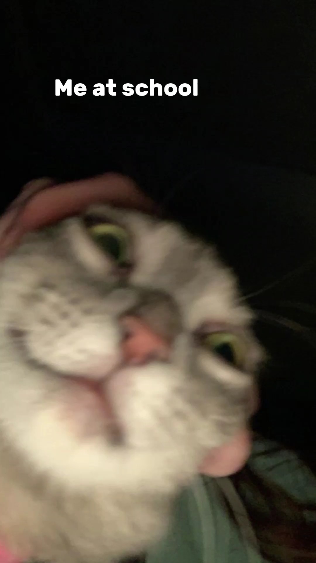haha uwu.
