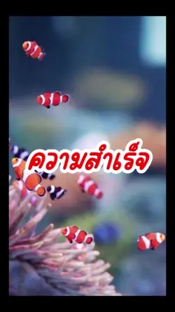 ความสำเร็จ