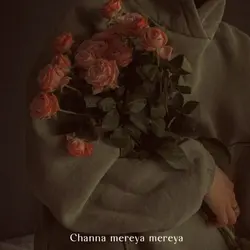 Channa mereya
