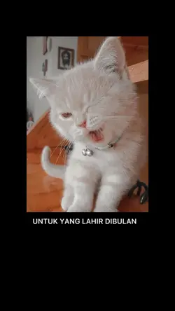 Untuk Yg Lahir Bulan