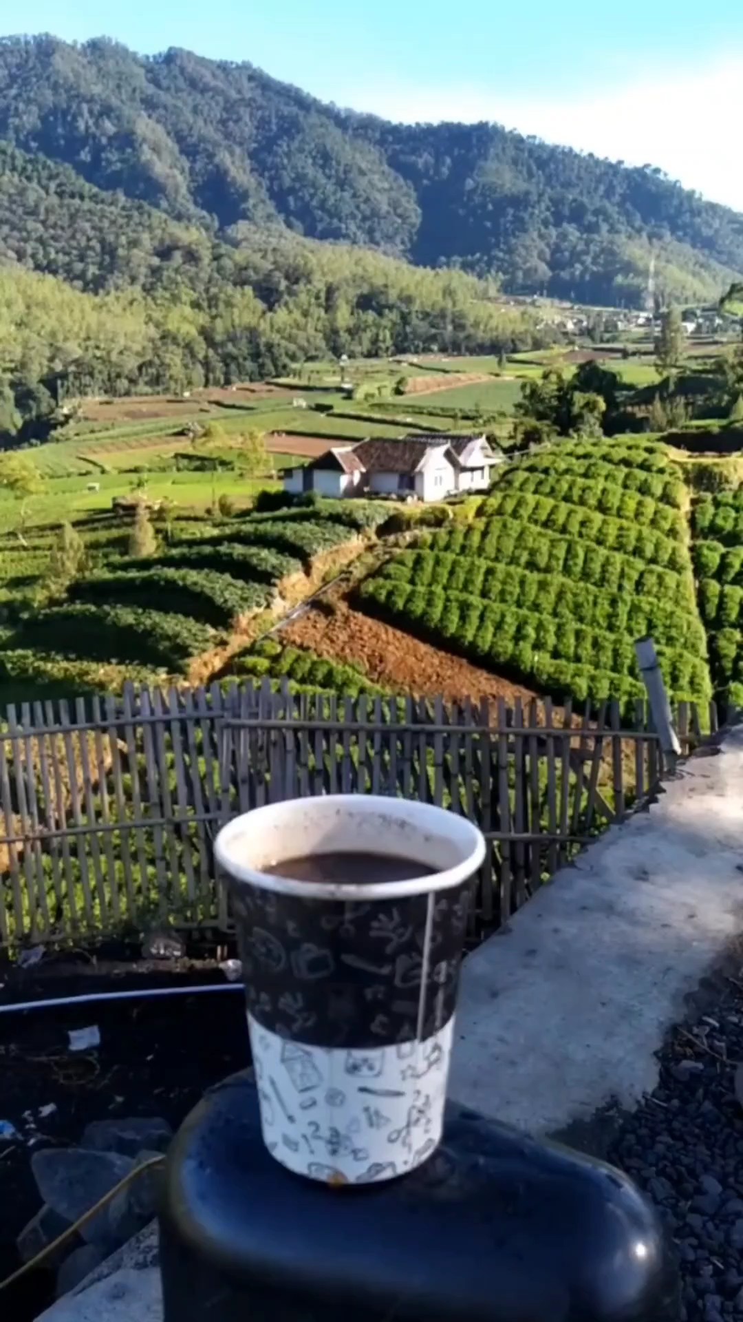 coffee drink vlog 