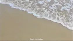 Beauty and the beast